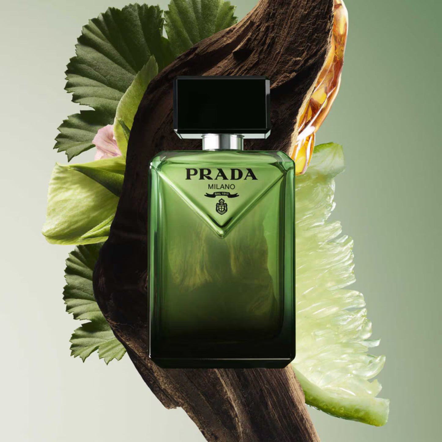 Paradigme - Eau de Parfum boisée ambrée Rechargeable - 100ml
